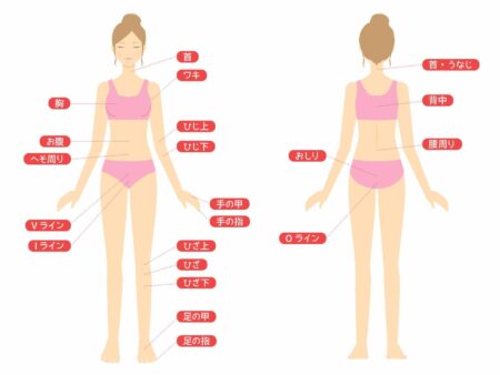 脱毛　部位説明イラスト　全身　図解